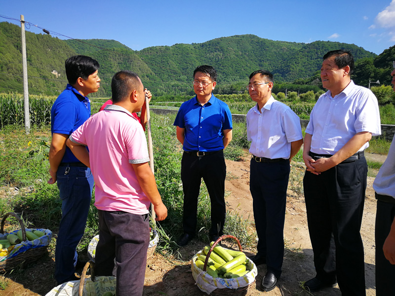 杨忠武在黄龙县调研土地整治和移民搬迁工作